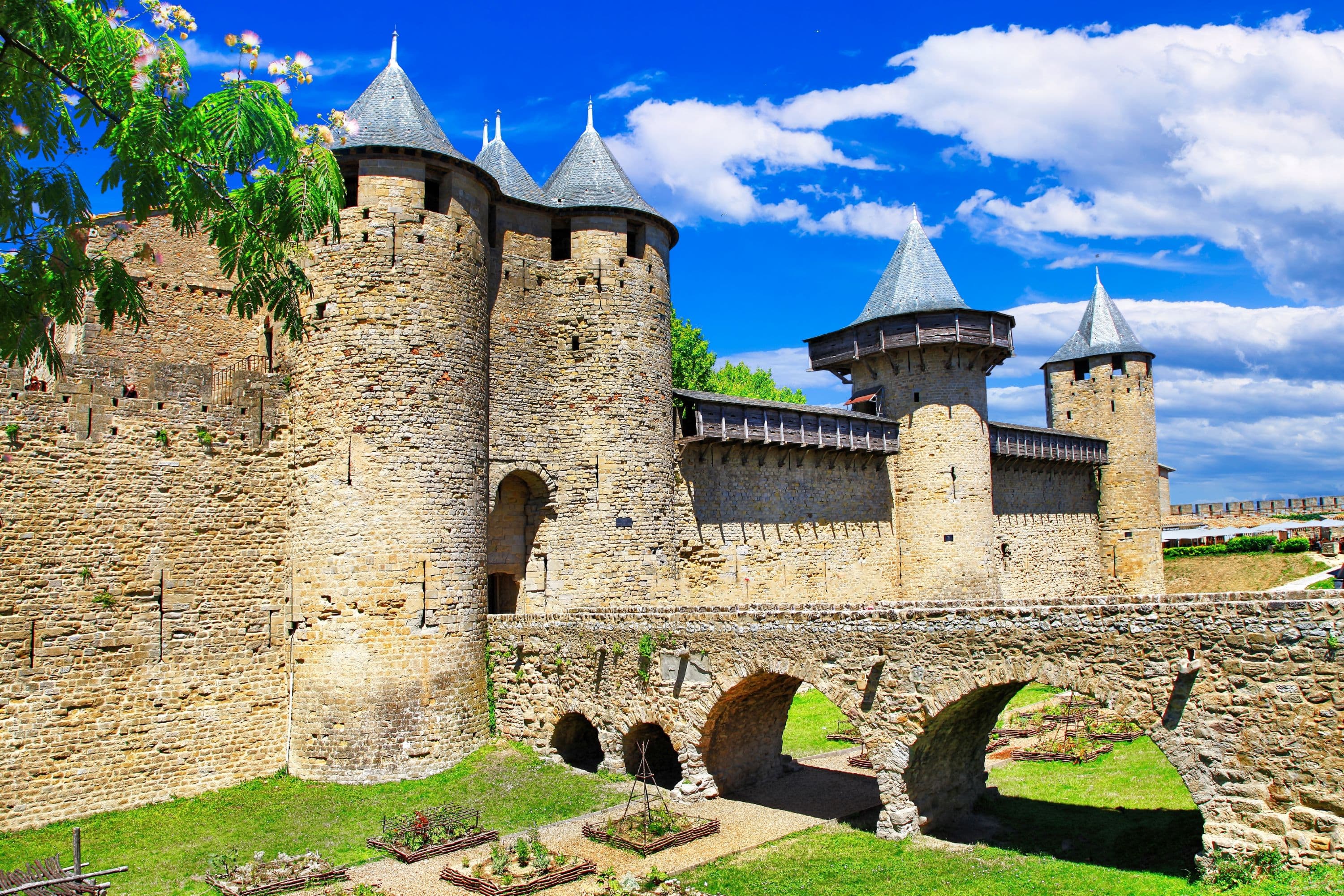 CARCASSONNE Castle