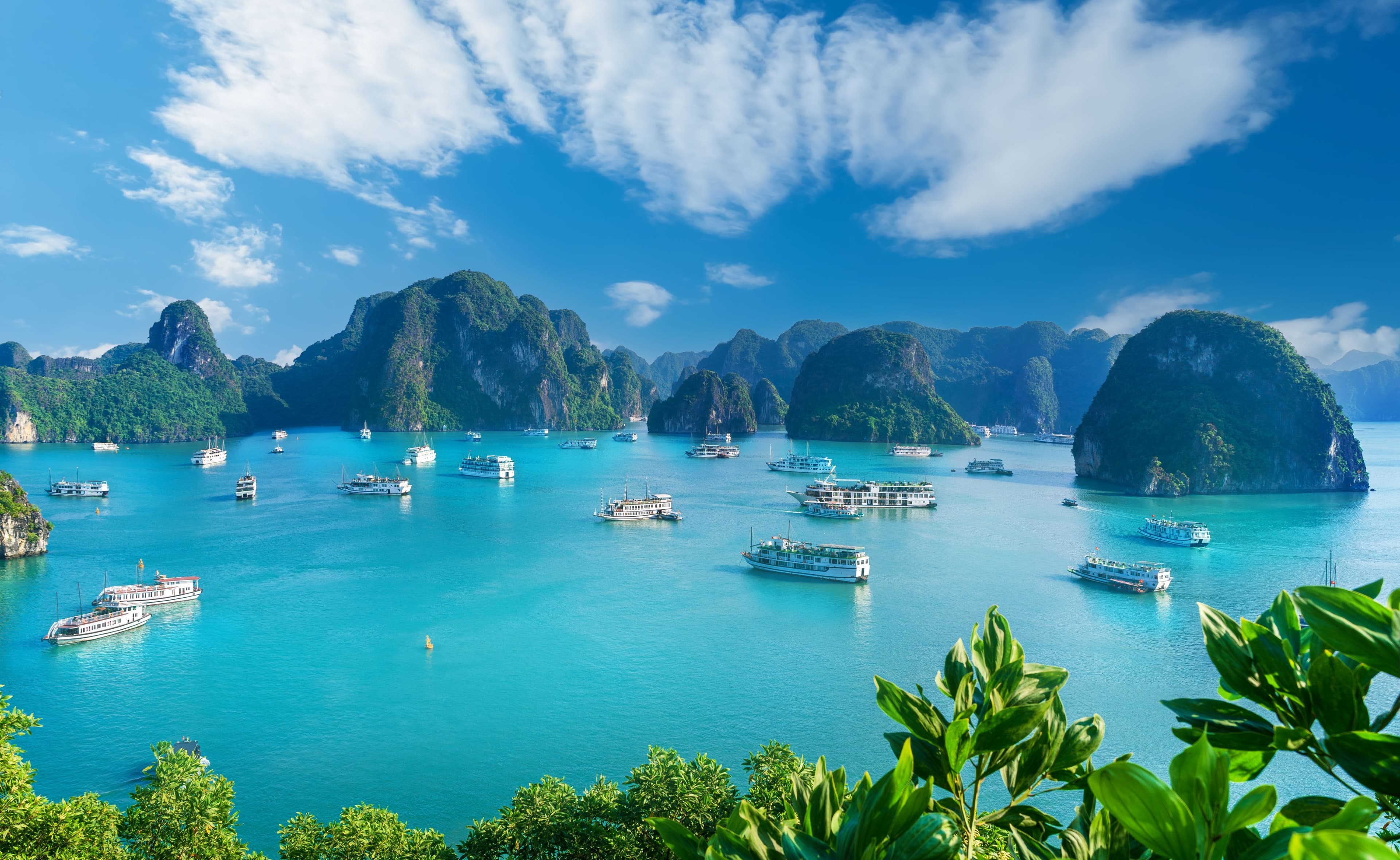 VIETNAM SA PA FANSIPAN + ALPINE COASTER & HALONG BAY CRUISE